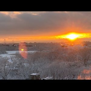 Meet your Posher, Jenny